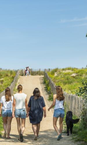 Walk on the beach