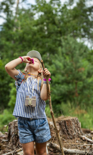 20250730 Breebos 5728