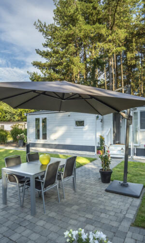 20250730 Breebos 6501
