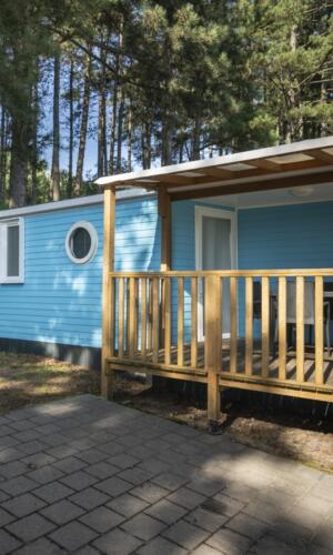 20230809 Breebos 3843 min