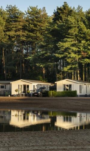 Breebos - Vakantiepark met meer en strand in Antwerpen
