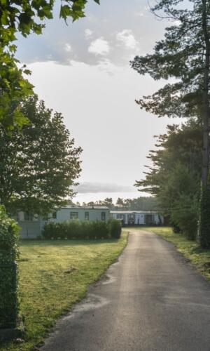 20230810 Breebos 4312 min