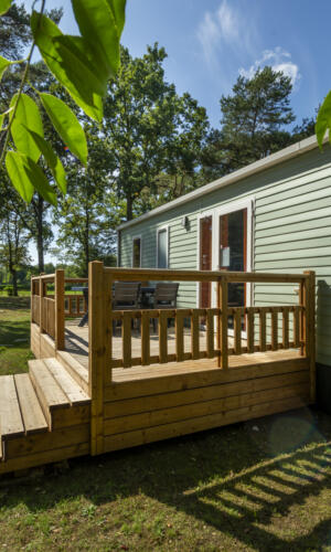 20250730 De Brem 6187