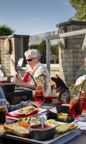 20250805 Hippodroom 8162